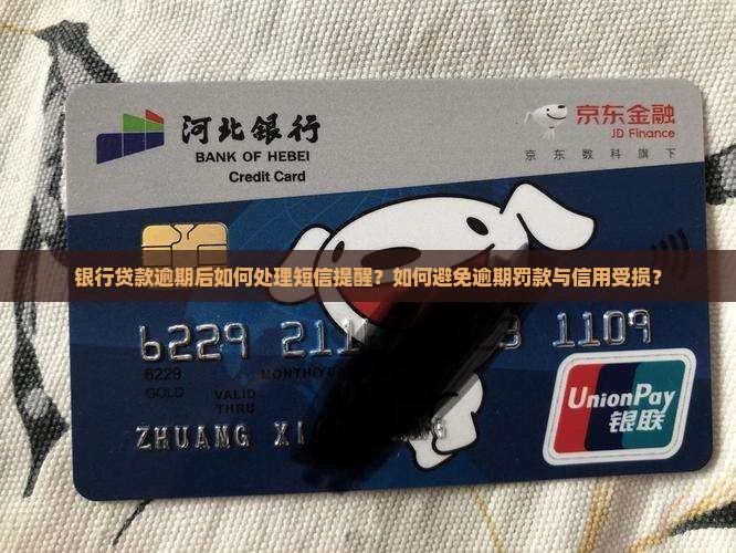 银行贷款逾期后如何处理短信提醒？如何避免逾期罚款与信用受损？