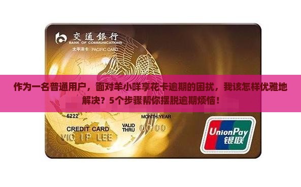 作为一名普通用户，面对羊小咩享花卡逾期的困扰，我该怎样优雅地解决？5个步骤帮你摆脱逾期烦恼！