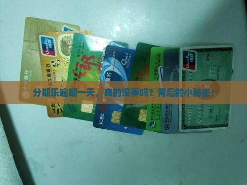 分期乐逾期一天，真的没事吗？背后的小秘密！