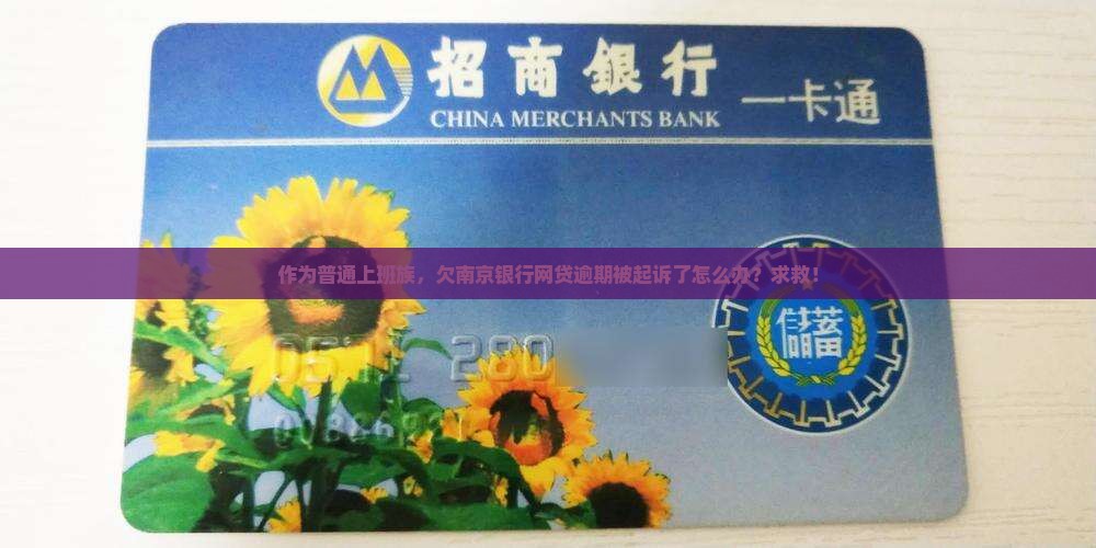 作为普通上班族，欠南京银行网贷逾期被起诉了怎么办？求救！