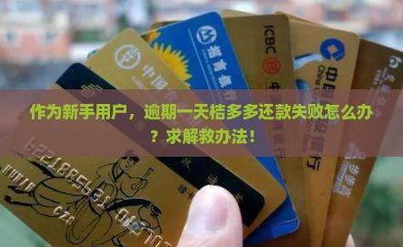 作为新手用户，逾期一天桔多多还款失败怎么办？求解救办法！
