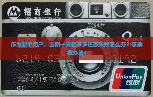 作为新手用户，逾期一天桔多多还款失败怎么办？求解救办法！