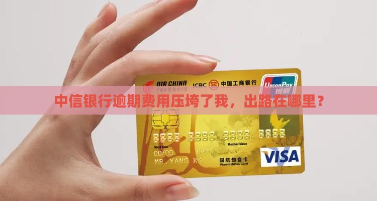 中信银行逾期费用压垮了我，出路在哪里？