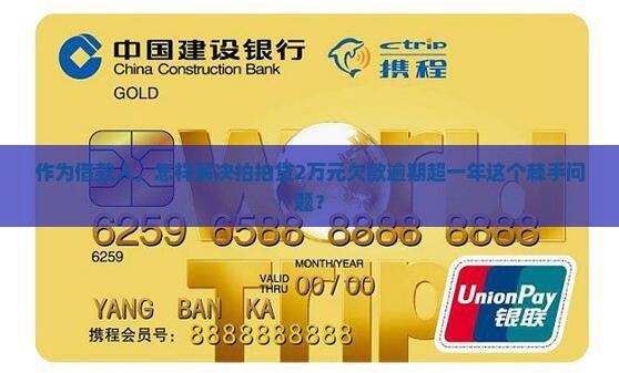 作为借款人，怎样解决拍拍贷2万元欠款逾期超一年这个棘手问题？