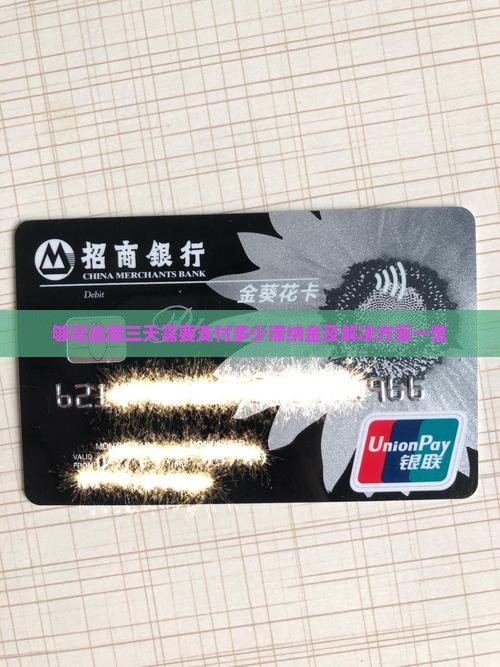 够花逾期三天需要支付多少滞纳金及解决方案一览