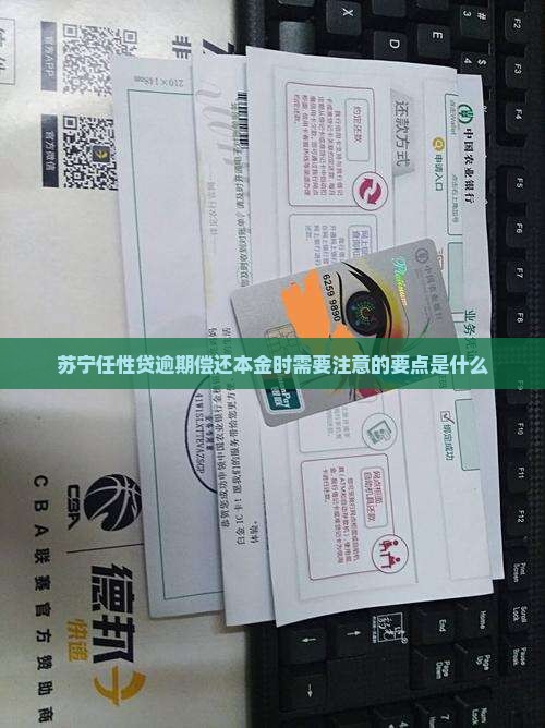 苏宁任性贷逾期偿还本金时需要注意的要点是什么
