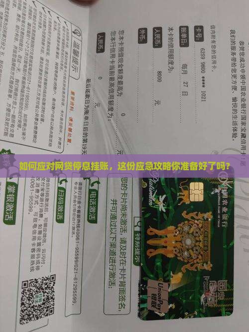 如何应对网贷停息挂账，这份应急攻略你准备好了吗？