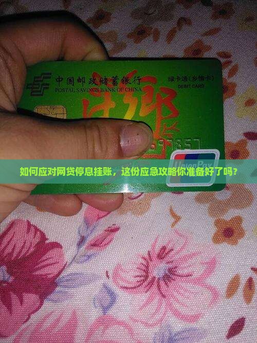 如何应对网贷停息挂账，这份应急攻略你准备好了吗？