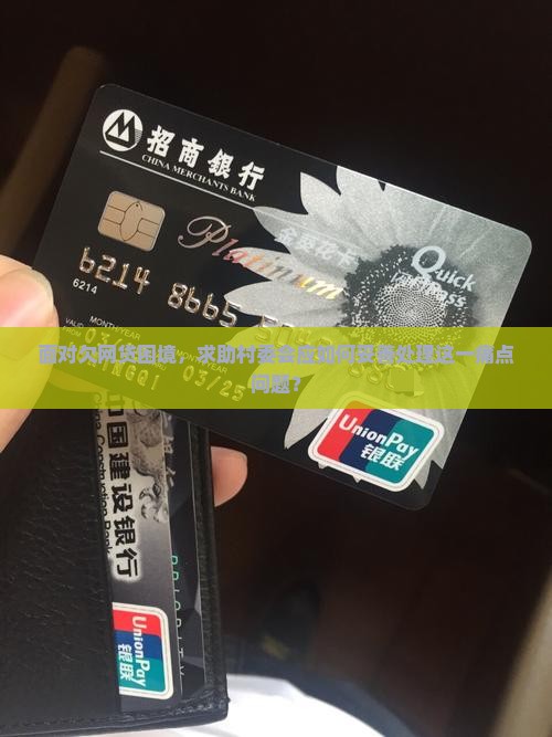 面对欠网贷困境，求助村委会应如何妥善处理这一痛点问题？