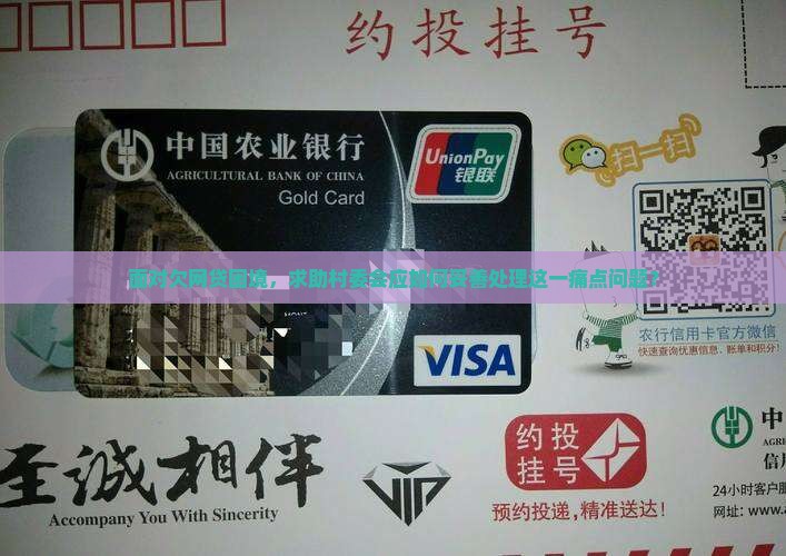 面对欠网贷困境，求助村委会应如何妥善处理这一痛点问题？
