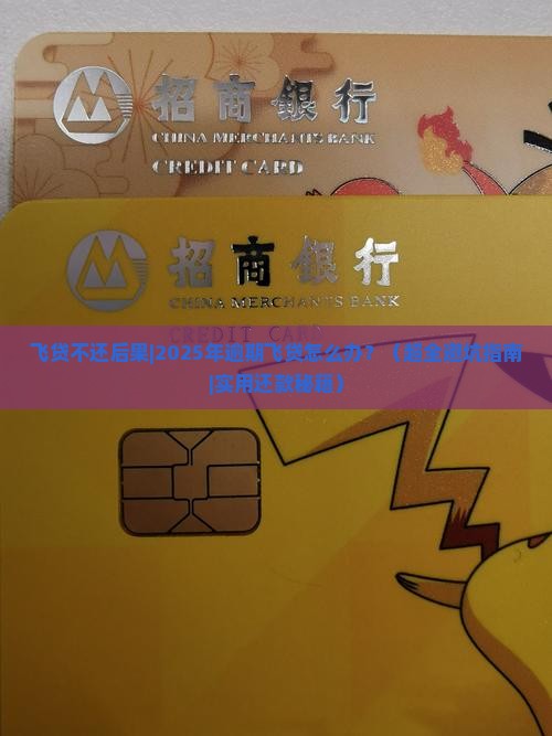 飞贷不还后果