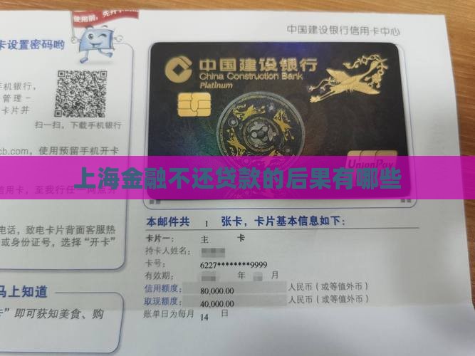 上海金融不还贷款的后果有哪些