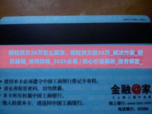 信用卡欠20万怎么解决