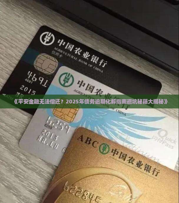 平安金融无法偿还怎么办