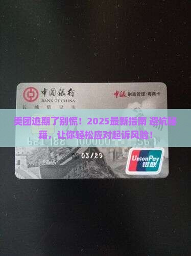美团逾期多久会被起诉的处理方式