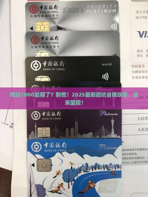 钱站1000逾期了