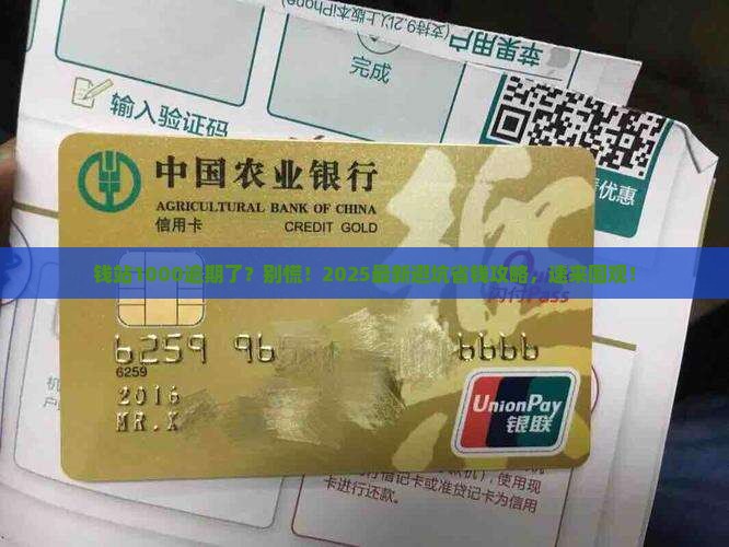 钱站1000逾期了