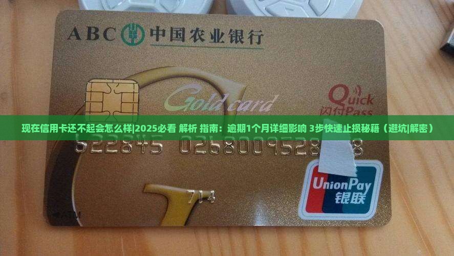 现在信用卡还不起会怎么样