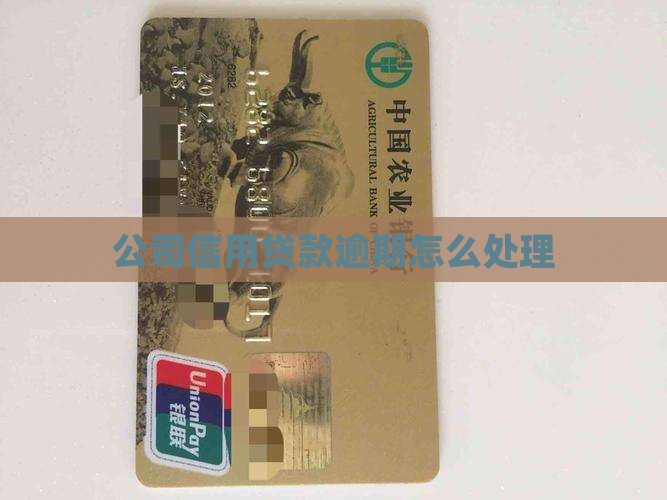 公司信用贷逾期怎么处理