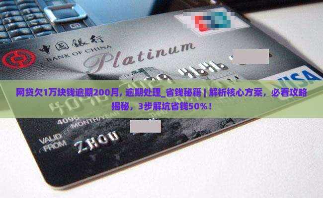 网贷欠1万块钱逾期200月