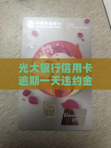 光大银行逾期一天违约金标准