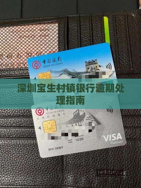 深圳宝生村镇银行逾期怎么办