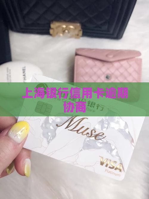 上海银行信用卡逾期协商