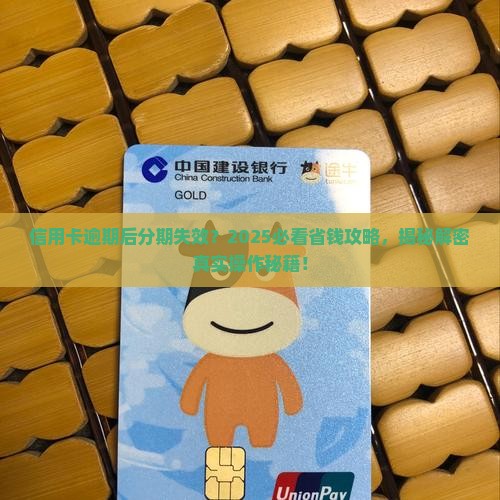 信用卡逾期不能办理分期该怎么办
