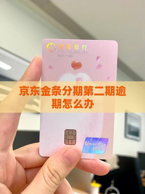 京东金条分期第二期逾期怎么办