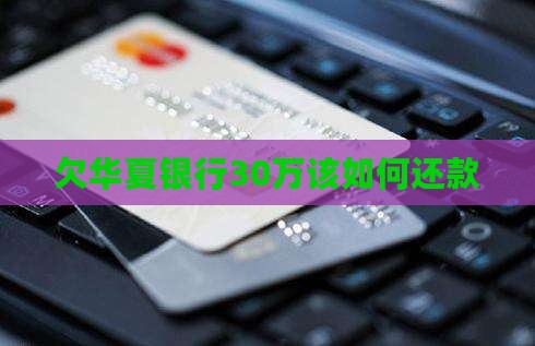 欠华夏银行30万该如何还款