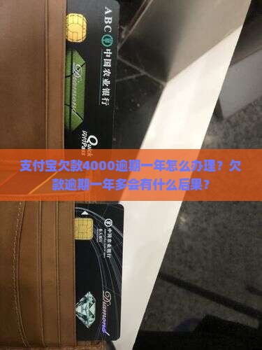 支付宝欠款4000逾期一年怎么办