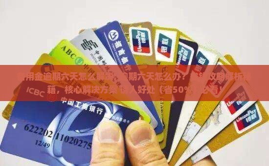 备用金逾期六天怎么解决