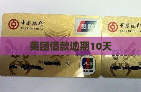 美团借款逾期10天