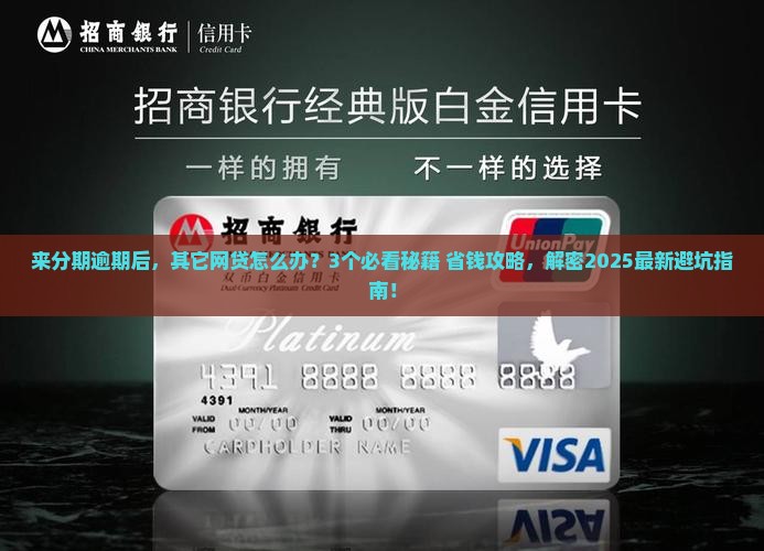 来分期逾期其它网贷怎么解决