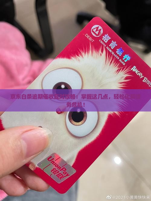 京东白条逾期催收应对攻略