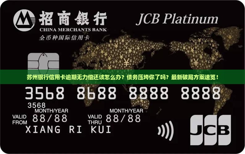 苏州银行信用卡逾期无力偿还该怎么办