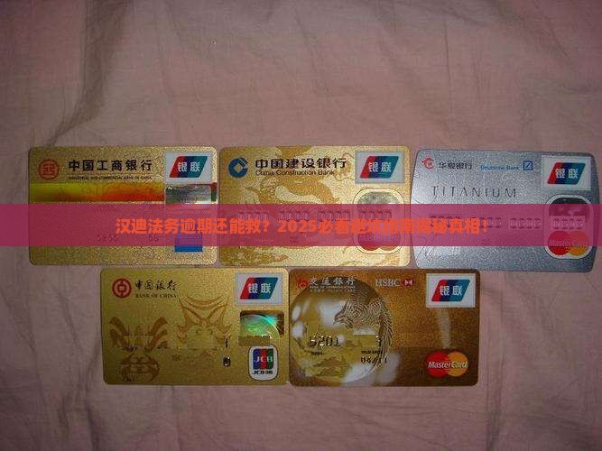 汉迪法务逾期应该如何处理