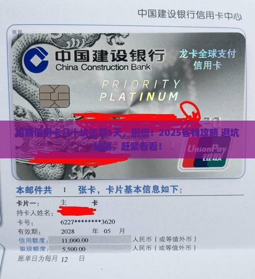 招商信用卡几十元逾期五天该怎么处理