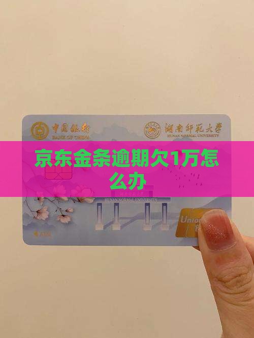 京东金条欠1万怎么办