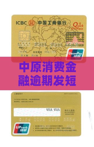 中原消费金融逾期发短信移交司法程序解读