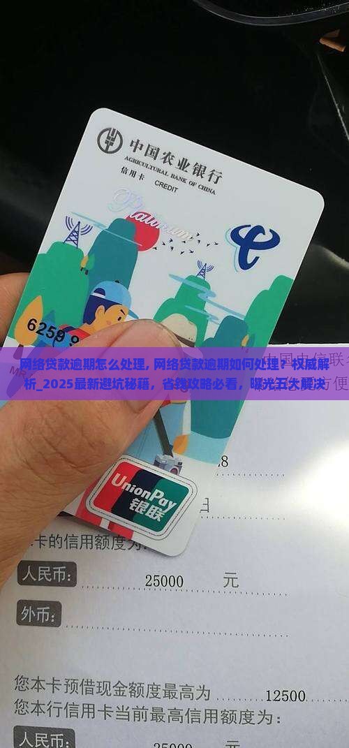 网络贷款逾期怎么处理