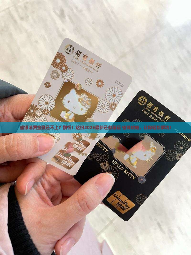 盛银消费金融还不上怎么协商还款