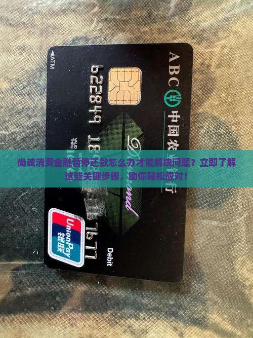 尚诚消费金融暂停还款怎么办才能解决问题
