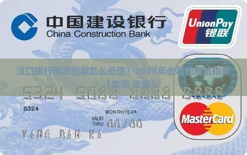 汉口银行网贷逾期怎么处理