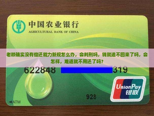老赖确实没有偿还能力新规