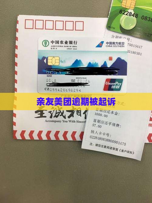亲友美团逾期被起诉