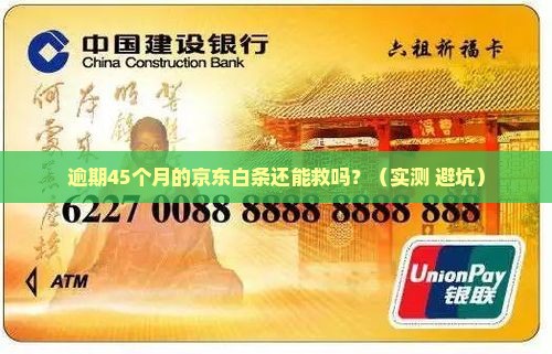 京东白条逾期45月