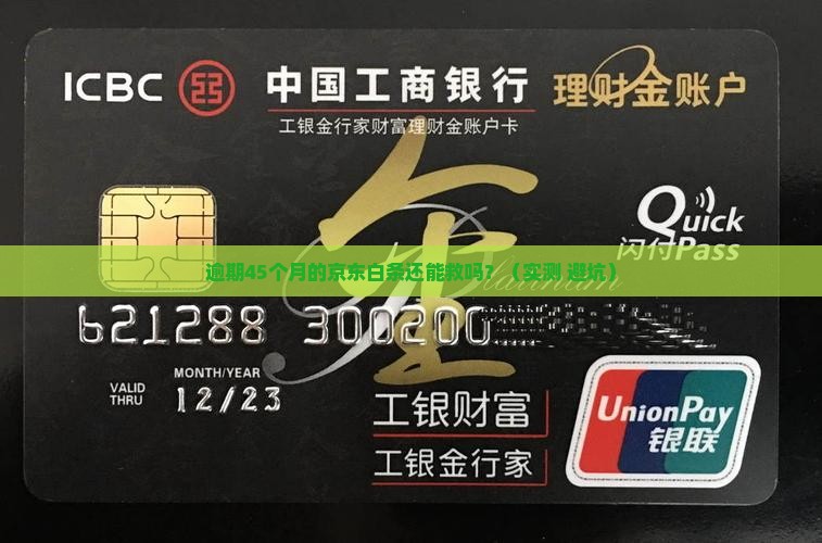 京东白条逾期45月