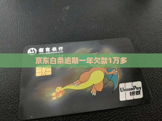 京东白条逾期1万多1年半