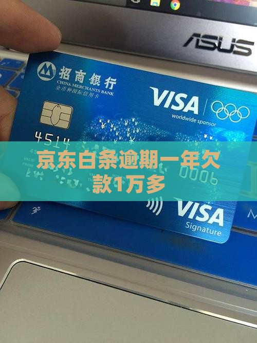 京东白条逾期1万多1年半